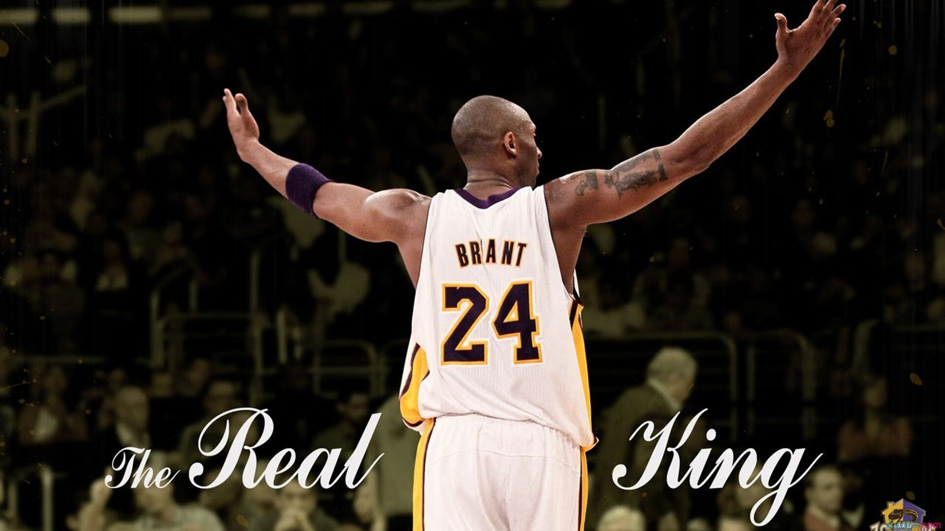 开云体育app-红牛车队险胜红牛二队，塞恩斯扛起全队的背后故事